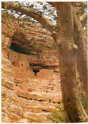 Castelo de Montezuma — Arizona — editor IMPACT, n° 2021