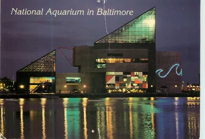 Aquário Nacional em Baltimore — editor D. Traub & Son, Inc., n° 2US MD 66