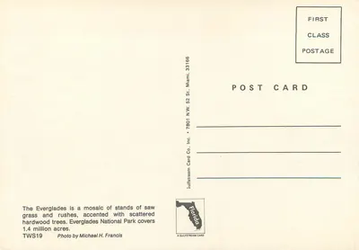 Parque Nacional dos Everglades — paisagem de pântano e vegetação — Gulfstream Card Co. Inc. TWS19 — Verso