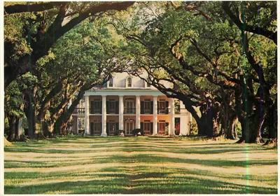Alley of Oaks — Vacherie, Louisiana — Express Publishing Co. Inc. EP-15