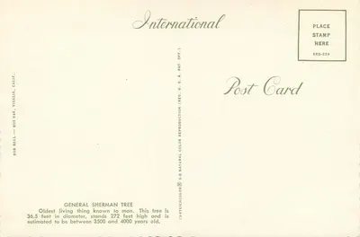 General Sherman — Sequoia National Park — International Post Card — Achterkant