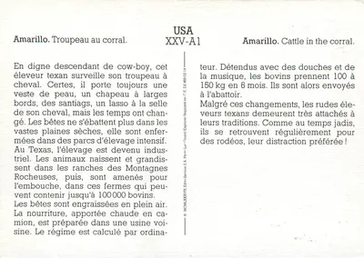 Amarillo. Troupeau w korytarzu — Texański hodowca konny — Édito-Services S.A. XXV-A1 — Rewers
