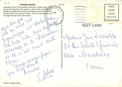Cartolina moderna Zona palude di Cipressi — Verso