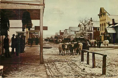 Diamond R Bull Train — Main Street, Miles City — L.A. Huffman