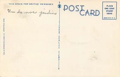 Birches, Forest Park, Springfield, Mass. — Tichnor Quality Views, n° 61511 — Rewers