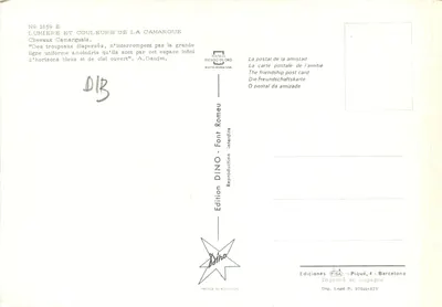 Camargue — Białe konie na zachodzie słońca — Wydawnictwo DINO Font Romeu, nr 1659 E — Rewers