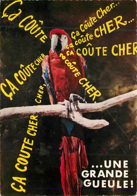 Ara — Animais humorísticos — Combier (71) Imp. Macon