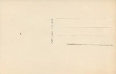 Bouquet de fleurs — Paris 668 — Wydawca Paris 668 — Rewers