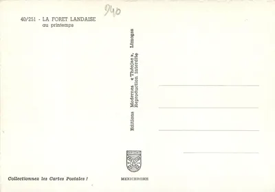 Foresta landaise — in primavera — Edizioni « Théolac » — Verso