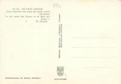Pinheiro de Landes — sua seiva que escorre — editor IRIS, n° 40/124 — Verso