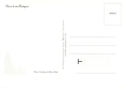Bloemen van onze bergen — Uitgever EDY Chambéry, n° 120 — Achterkant
