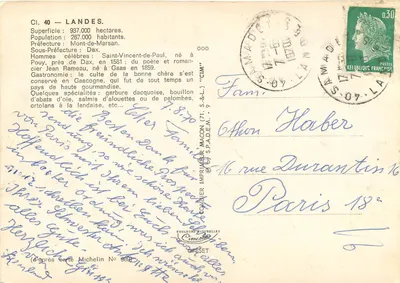 Landes — 40. Landes — Kolor naturalny — Rewers