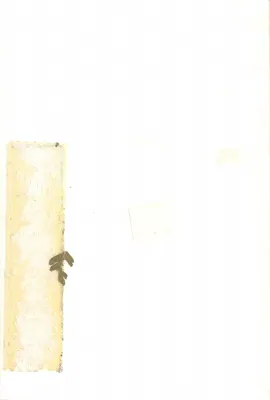 Bukiet kwiatów — malowanie olejne — Théophile Suba — Rewers