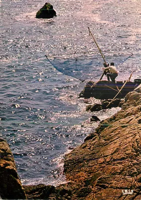 Pescador em uma rocha — Costa rochosa — Iris