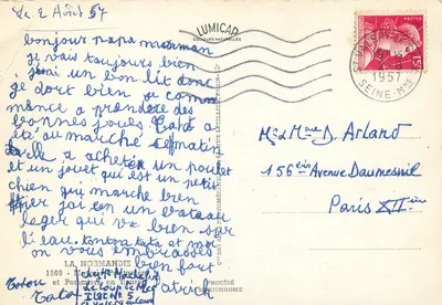 Świnka i szczeniaki pod kwitnącymi drzewami — La Normandie — LUMICAP — Rewers