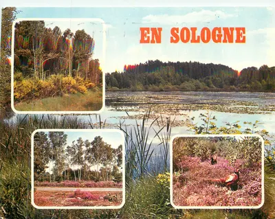 En Sologne — paysages et faune — éditions La Ferrière St Aubin, n°12108