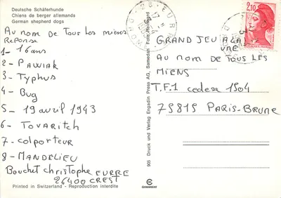 Dois cães pastores alemães — em um campo de alface-de-abelha — Edição Samedan AG, n°905 — Verso