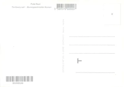 Poço florido — Edições Châteauin, série D — Verso