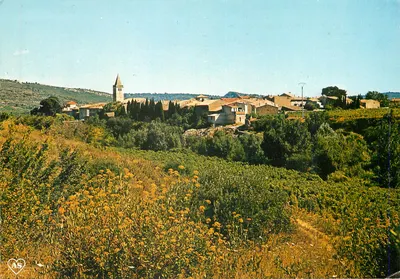 Saint-Laurent-de-la-Cabrerisse — Vista Geral — Sociedade das Cartas Postais APA-POUX - ALBI - Processo 81