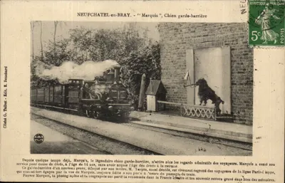 Neufchâtel-en-Bray — 'Marquis', cão guarda-barreira — Cliché G. Talbot - Édit. E. Beaubard