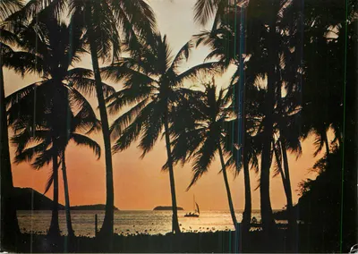 Paisagem de pôr do sol com palmeiras — Pointe-à-Pitre, Guadeloupe — SCANDINEXIM, S.073