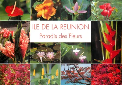 Ilha de La Réunion — Paradis des Fleurs — Edições CLIN D'OEIL n°653