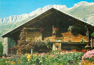 Velho chalé savoês — Albertville 1986 — edições de France n°1571