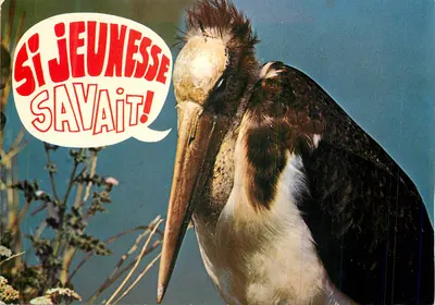 Stork — Si jeunesse savait! — J. Combier Imprimeur