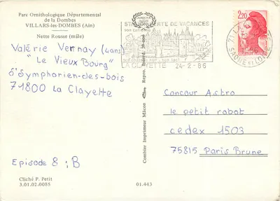 Pato-vermelho (Macho) — Parque Ornitológico Departamental da Dombes — editor Combiérier, n° 01.443 — Verso