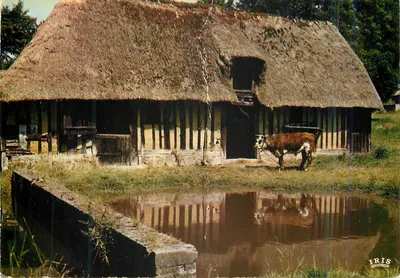 Ferme normande — Charmes et Couleurs — Éditions IRIS