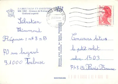 Srebrny mewa — Ptaki Bretanii — Wydawnictwo Art JOS — Rewers