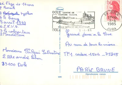 Cocker Spaniel — pies siedzący na trawie — Cecamì, Dole — Rewers