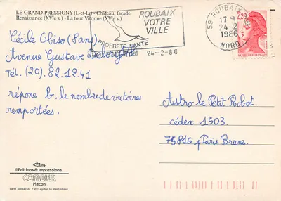 Le Grand-Pressigny (Ille-et-Loire) - Castelo, fachada Renascentista (século XVI) - A torre Vironne (século XVI) — Cing — Verso