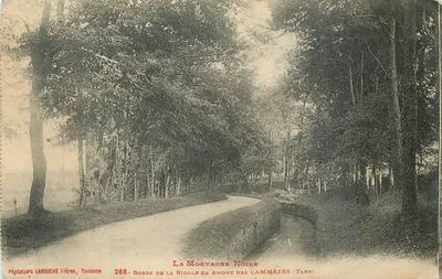 Margens da Rigole acima dos Cammazes — A Montanha Negra — Fototipia LABOUCHE Frères, Toulouse, n°288