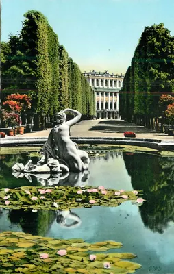 Schloss Schönbrunn — Vista do parque com fonte e estátua — editor HDH, n° 5144