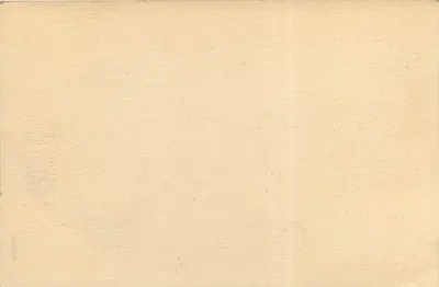Las sosnowy — ogółem — Théodore Géant — Rewers