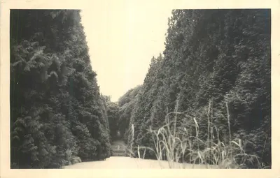 Castelo de Reux — por Pont-l'Évêque (Calvados) — editor não visível