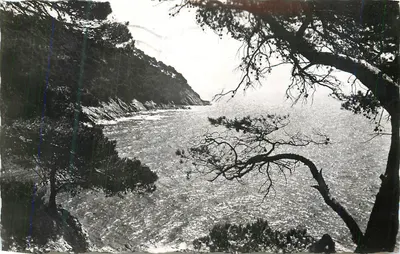 A Corniche dos Mouros — Ponta da Vigia — Edições Saggesi