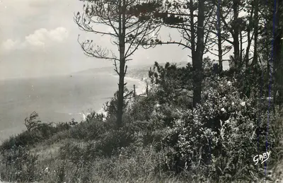 Villers-sur-Mer (Calvados) — Vista panorâmica através dos Pinheiros — Edições Gaby, Nantes