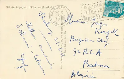 Ninho de Cegonhas de Obernai (Baixo Reno) — reprodução — A. Alway, Strasbourg — Verso