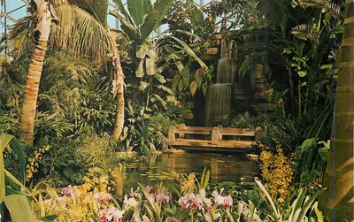 Casa Tropical — Mitchell Park Horticultural Conservatory — Milwaukee