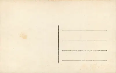 Katedra w Chartres — Królowa Szabia — XIII w. — Rewers