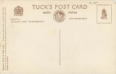 Buckingham Palace — vista dal lago di St. James's Park — Tuck's Post Card No. 14L — Verso