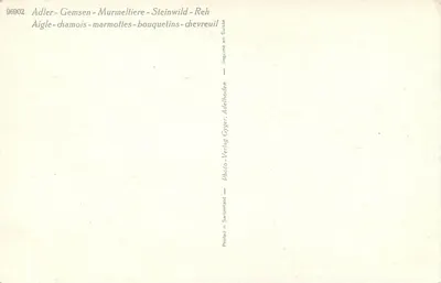 Alpentières — animais alpinos — Photo-Verlag Gyger, Adelboden — Verso