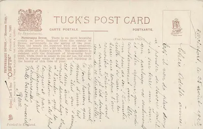 Devon — Wiosenny krajobraz z drzewem jabłoni w kwiecie — Tuck's Post Card N°7985 — Rewers