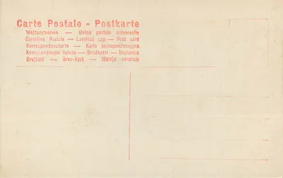 Milano - Sposalizio di Maria Vergine - Raffaello Sanzio - Stab. N. Riccardi Milano — Verso