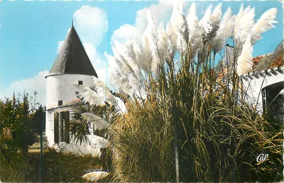 Saint-Pierre-d'Oléron — O Moinho do Coivre — editor Cap