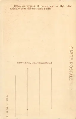 Strasburg — Widok na katedrę — Braun & Cie, Wydawnictwo Mulhouse-Dornach — Rewers