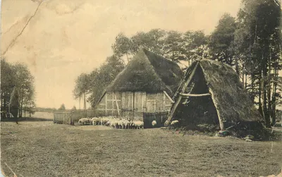 Loneburger Heide — Wörmer Schafstall (écurie à toit de chaume) — éditeur : Postkarte