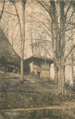 Cabana de madeira e telhado de colmo em uma floresta — editor Union postale universale, n° 5717-a